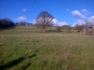 Bradford-20160228-01169