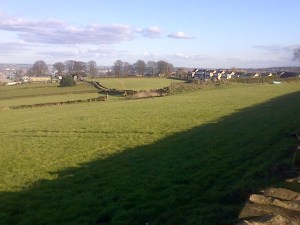 Bradford-20160228-01185