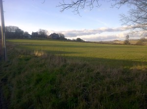 Bradford-20160228-01195