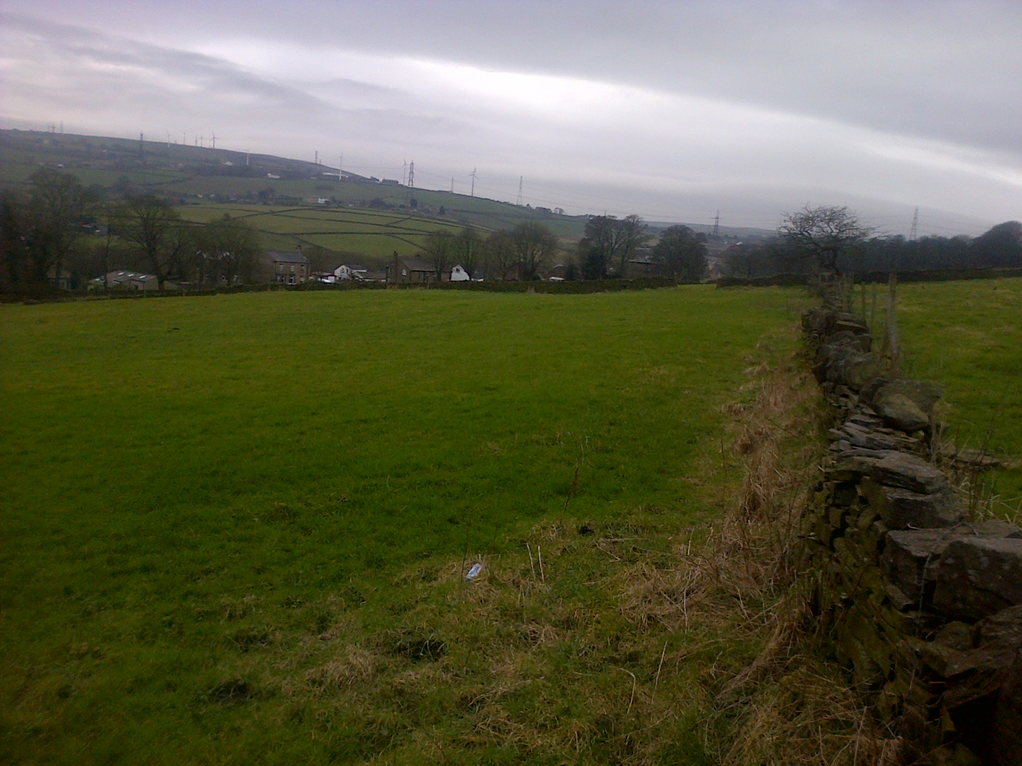 Bradford-20160312-01220