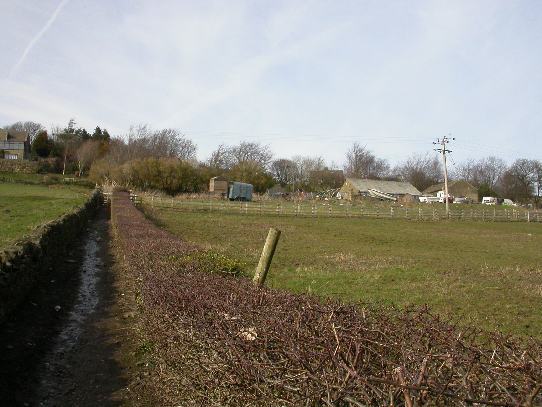 Hill Top allotments 2